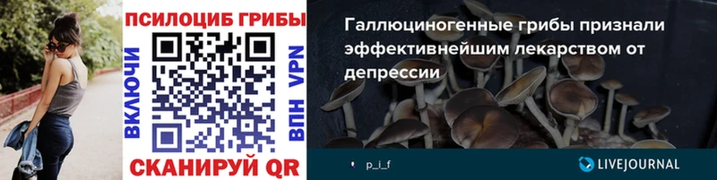 Галлюциногенные грибы ЛСД  магазин  наркотиков  Хвалынск 